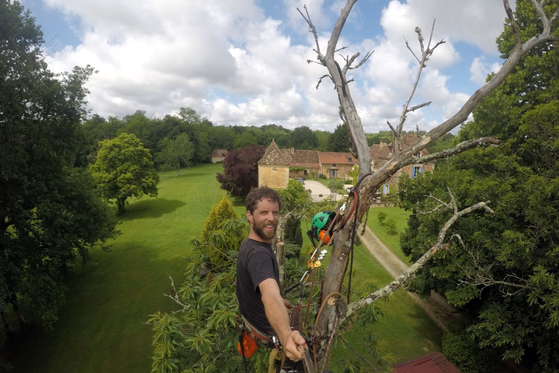 Go pro tree top 2